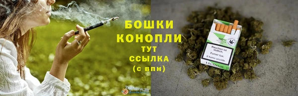 PSILOCYBIN Арсеньев