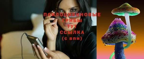 Альфа ПВП Аркадак