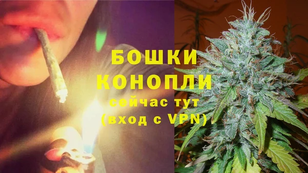 PSILOCYBIN Арсеньев
