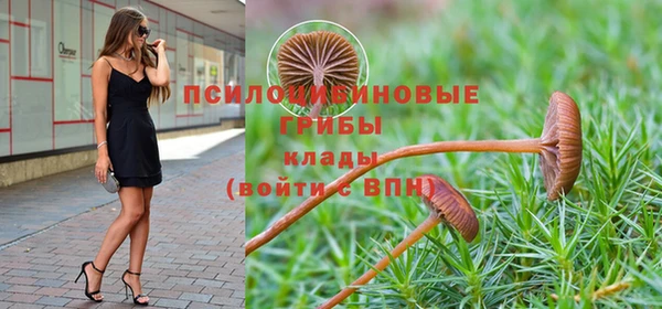 бошки Армянск